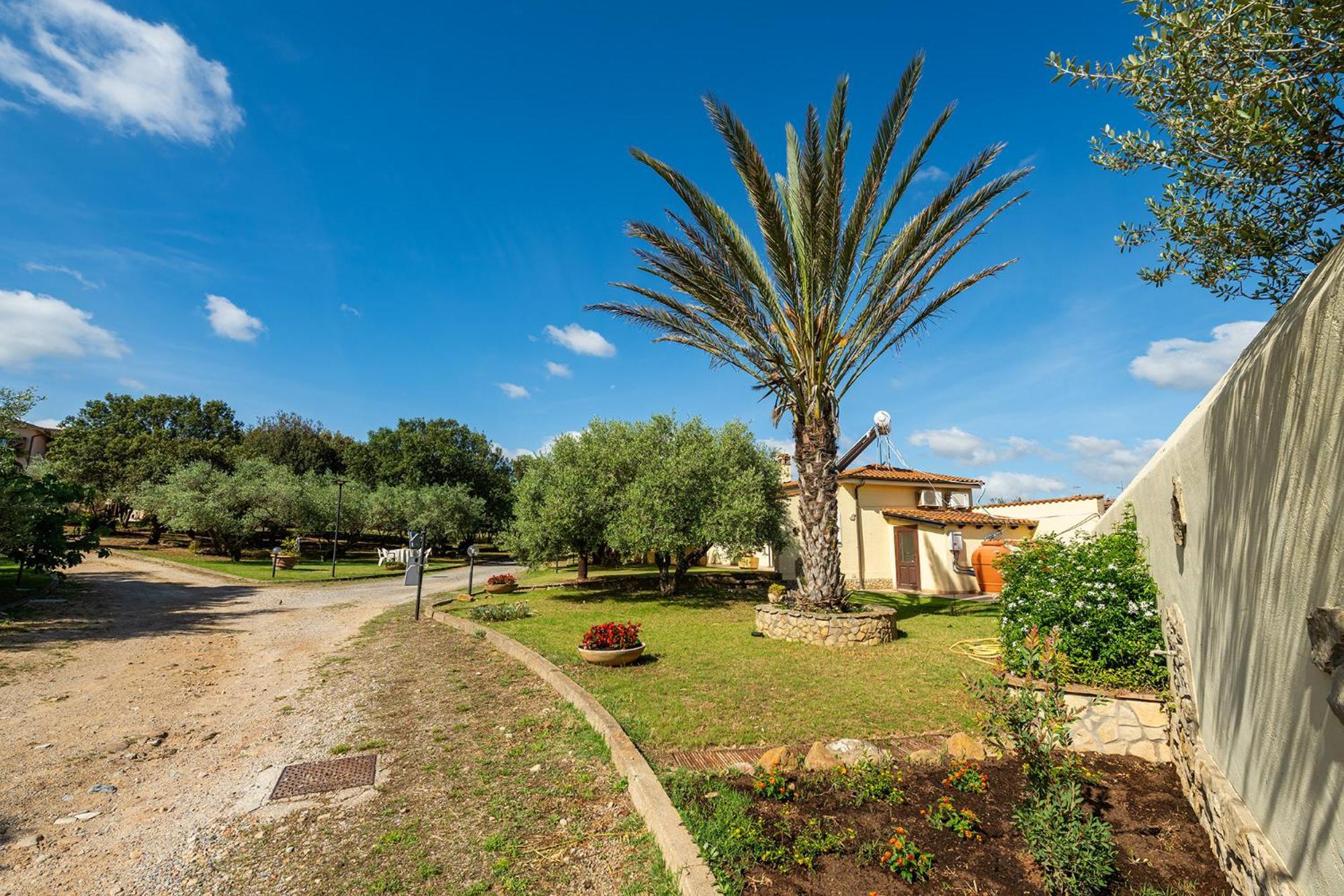 הוילה Villamassargia Residenza Parco Degli Ulivi מראה חיצוני תמונה