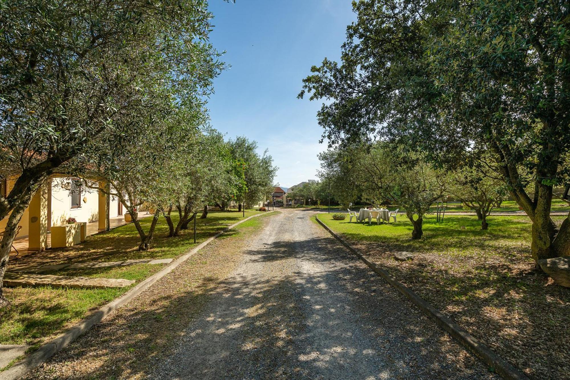 הוילה Villamassargia Residenza Parco Degli Ulivi מראה חיצוני תמונה